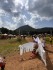 20250614_Les-Nuees-Ardentes-Puy-de-Dome_Ebullitions_3.jpg