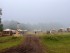 20250614_Les-Nuees-Ardentes-Puy-de-Dome_Ebullitions_4.jpg