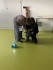 20250318_Village-des-maths_Mont-de-Marsan_Ateliers_7.jpg